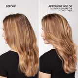 Redken Color Extend Blondage Purple Shampoo 300ml