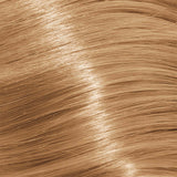 Schwarzkopf Igora Royal Permanent Colour Absolutes 9-50 Extra Light Blonde Gold Natural 60ml