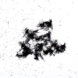 Silk Oil of Morocco Argan Fibre Lash Mascara Kit - Beautopia Hair & Beauty