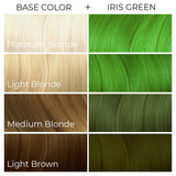 Arctic Fox Hair Colour Iris Green 236ml