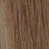 Grace Remy 2 Clip Weft Hair Extension - #16 Honey Blonde - Beautopia Hair & Beauty