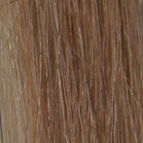 Grace Remy 3 Clip Weft Hair Extension - #16 Honey Blonde - Beautopia Hair & Beauty