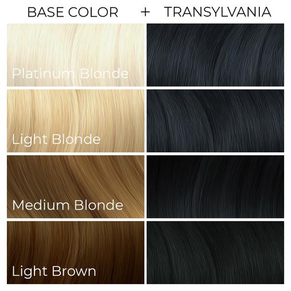 Arctic Fox Hair Colour Transylvania 236ml - Beautopia Hair & Beauty